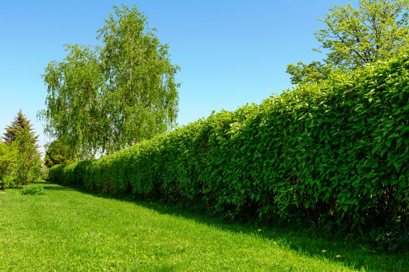Hedge Installation